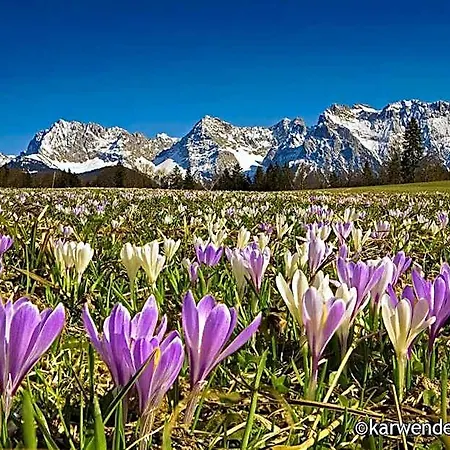 Hotel Barmsee 3*
